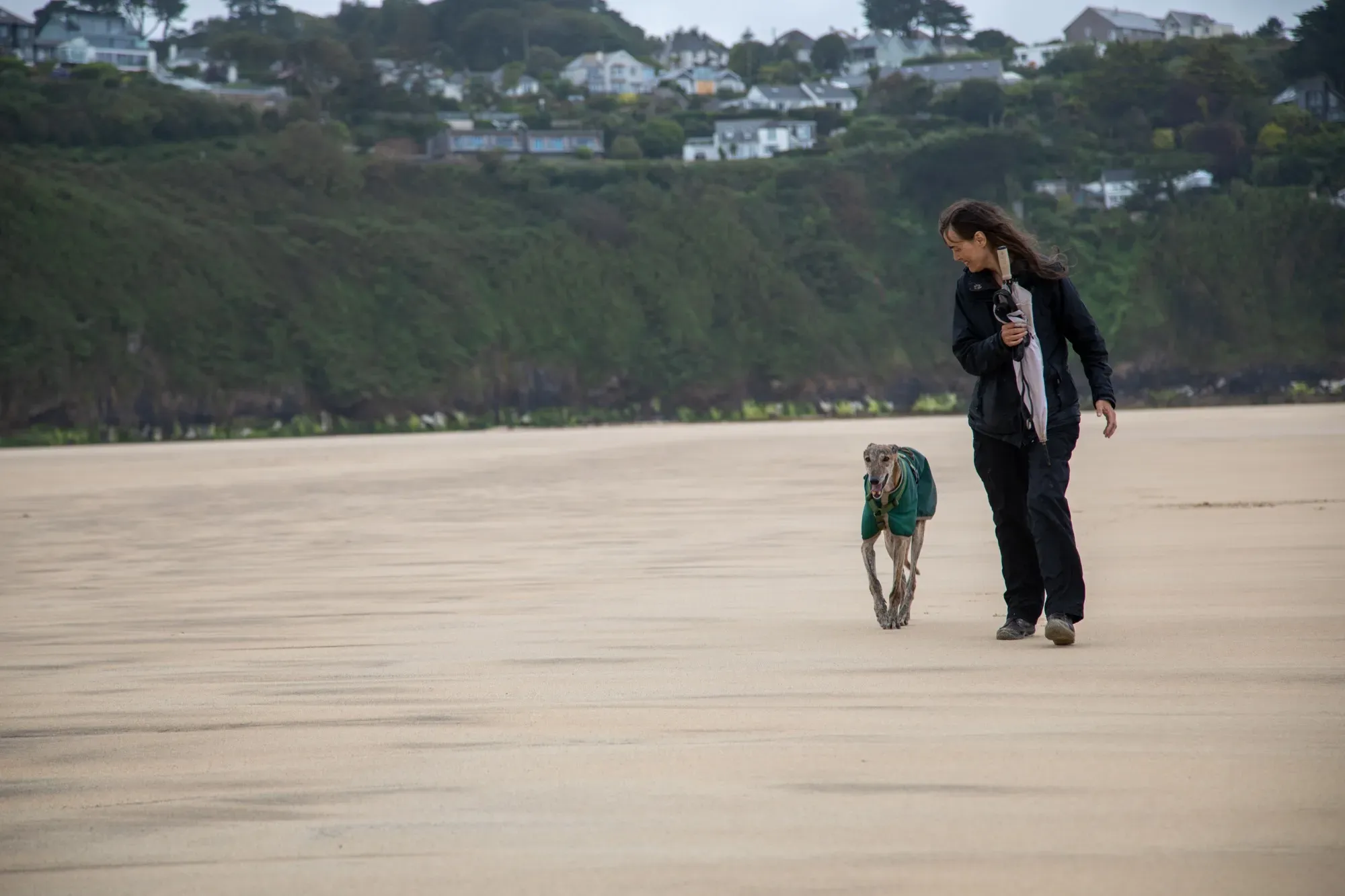 67074502 2203550993076015 7585627124862550016 o