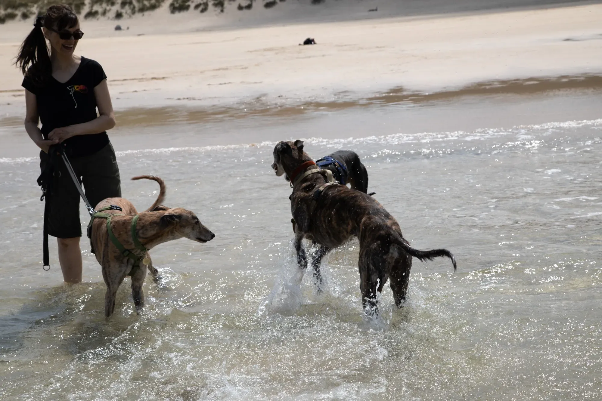 67094334 2198815816882866 144046541613563904 o