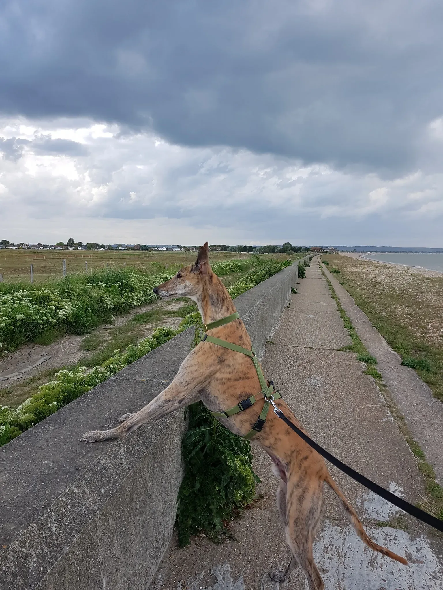 67282375 2213034728794308 3091550097117282304 o