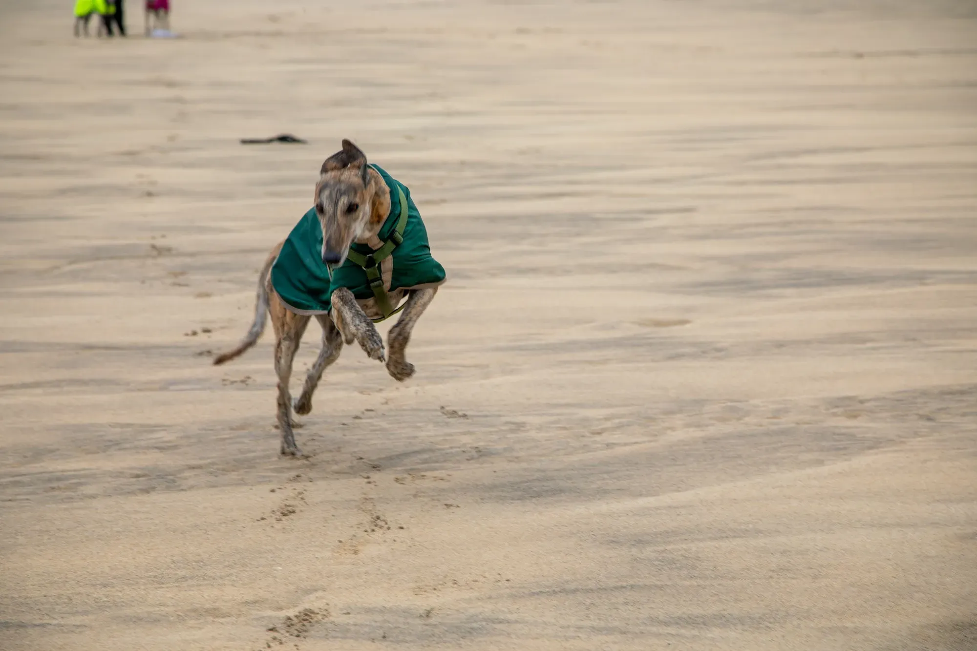 67327081 2203551439742637 5598821583545171968 o