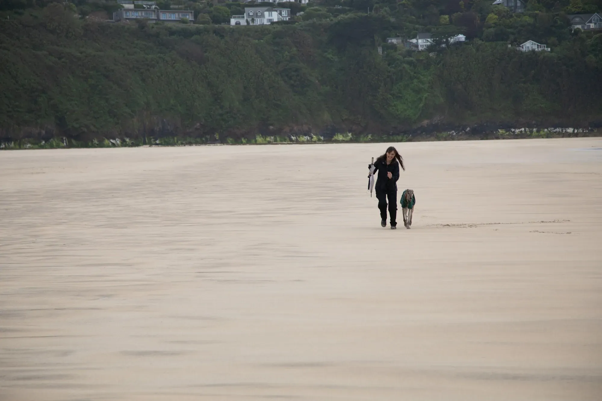 67414148 2203550979742683 4027456902941114368 o