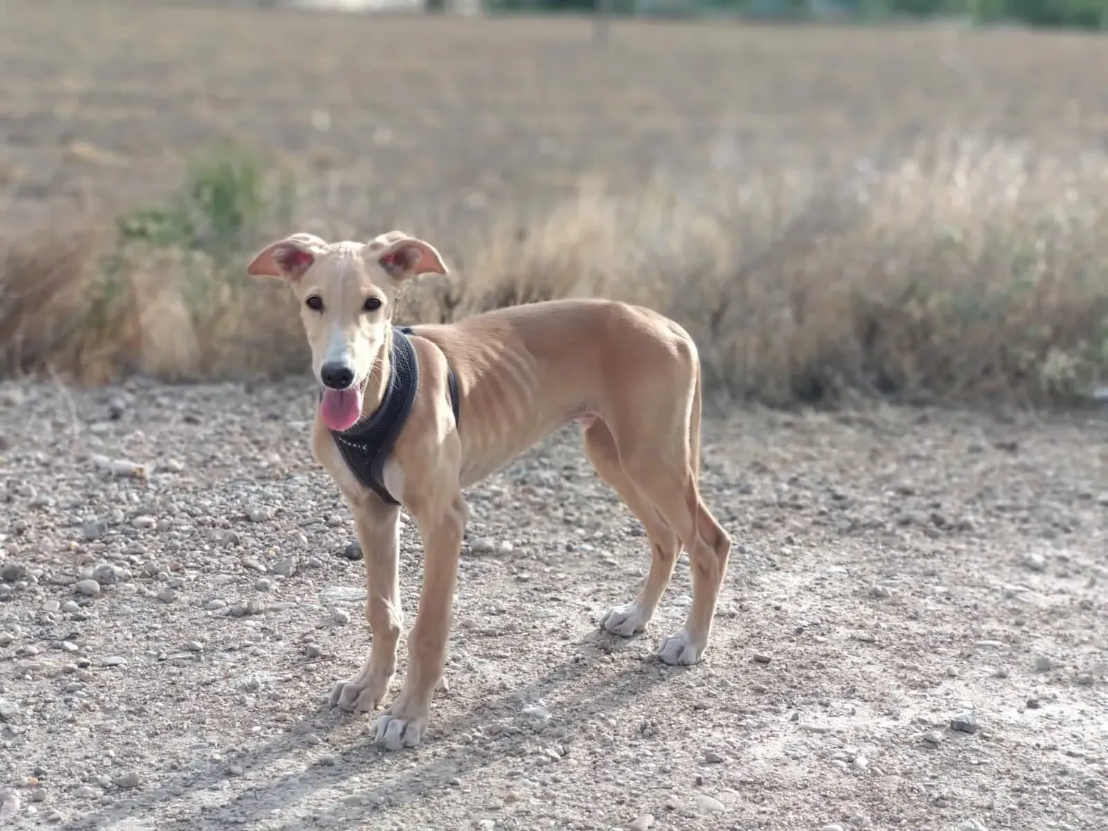 67432262 912196945826824 995619302348423168 n