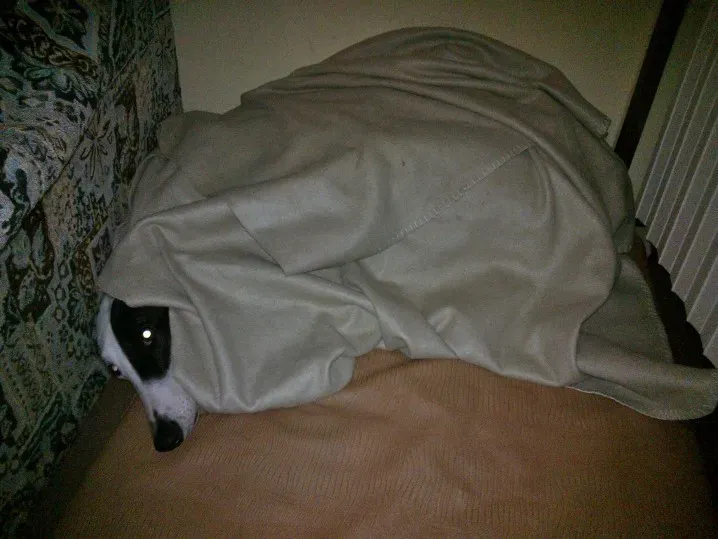 67481 10202880633170214 677904318 n