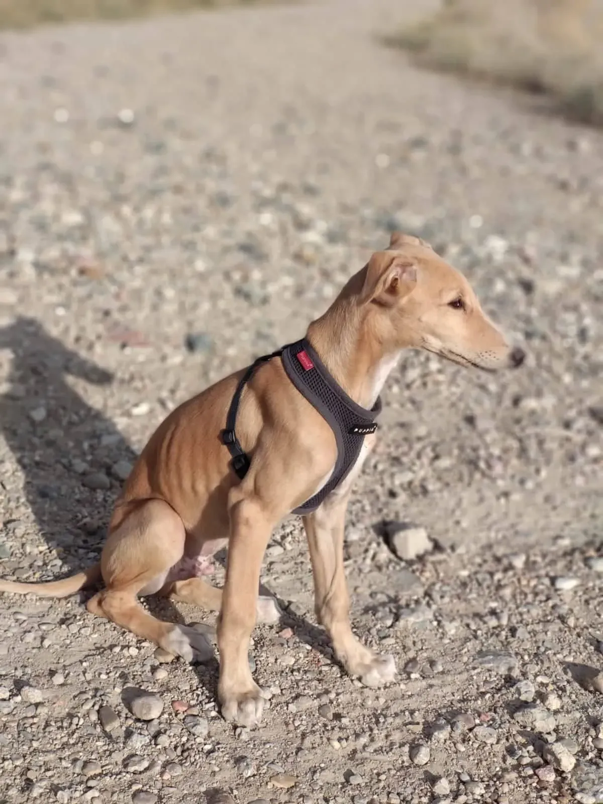 67510515 472529530146971 5913488986642317312 n