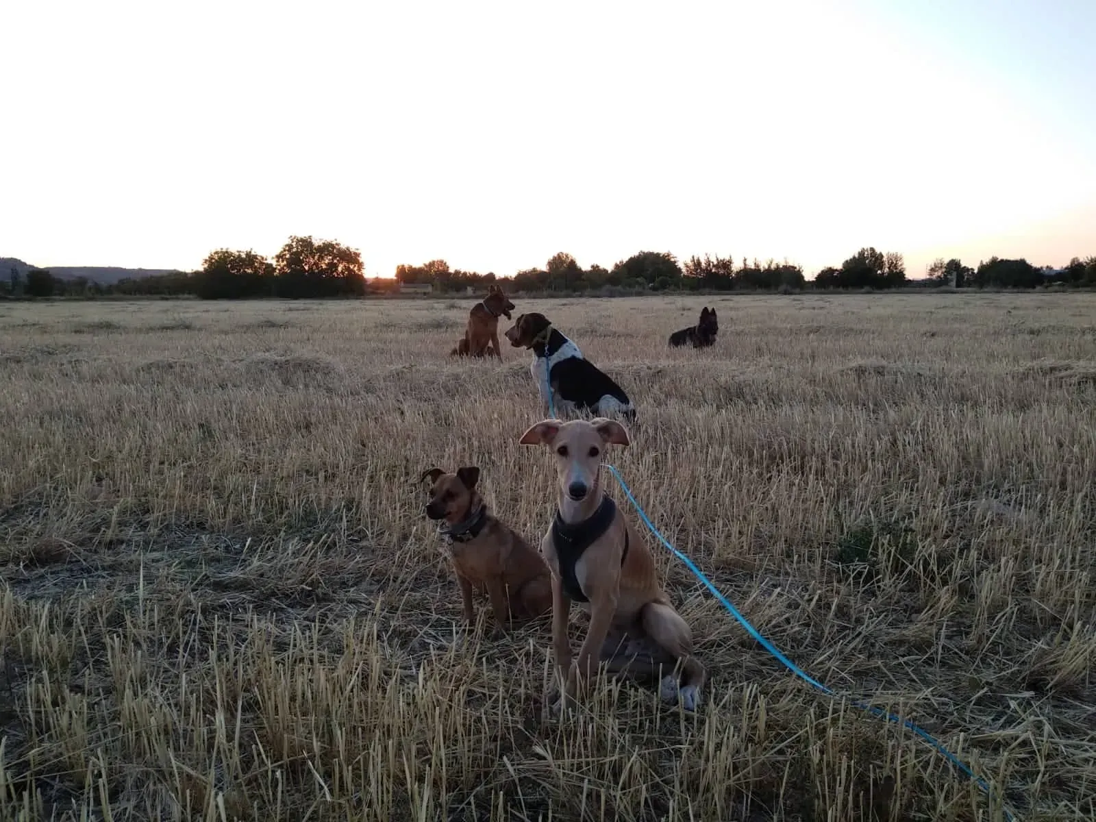 67558388 861947380841942 1530484808218574848 n