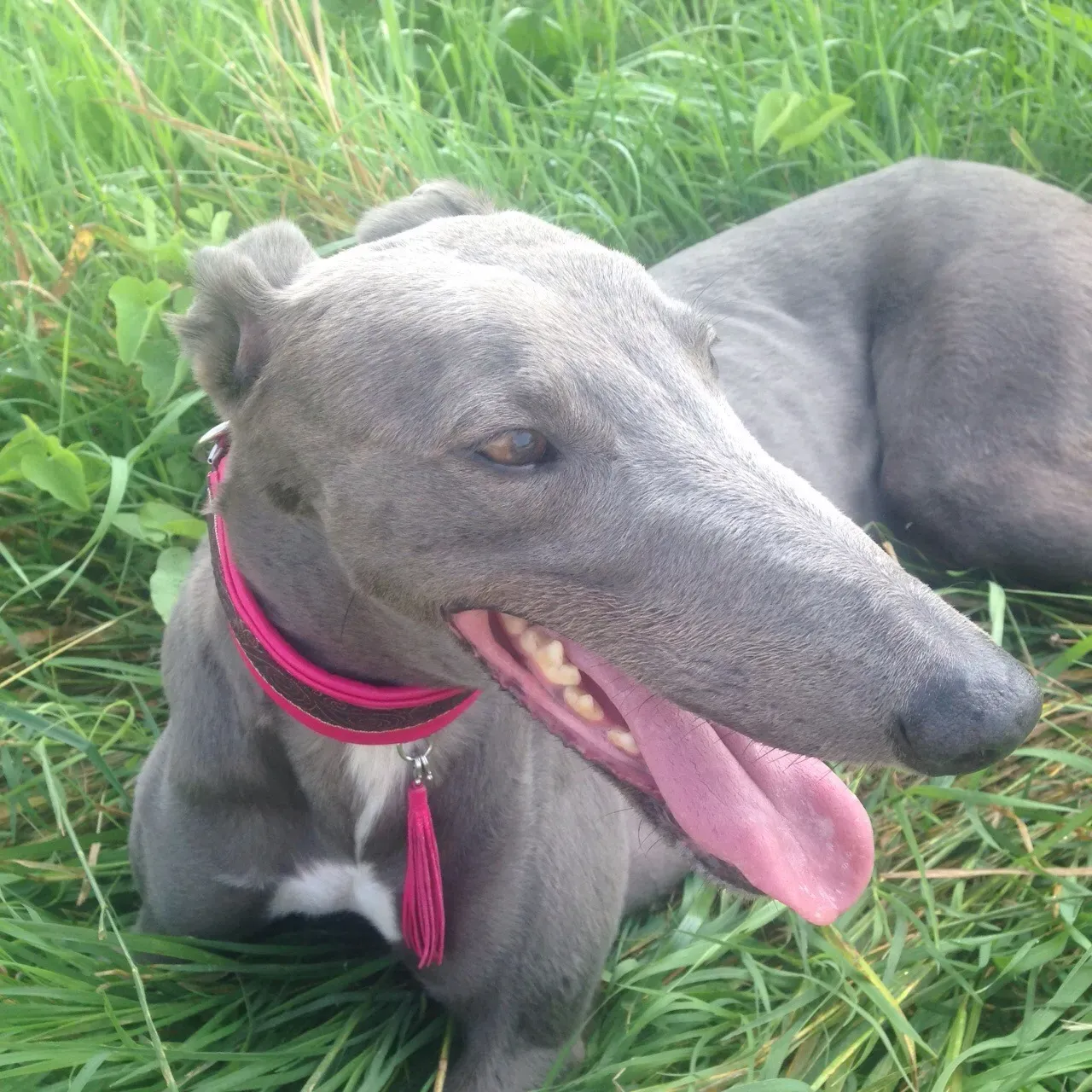 67797272 2403708879712953 1874136003543826432 o