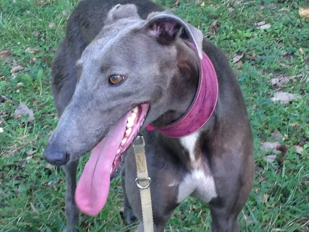 67797279 2403706383046536 7363615158616195072 o