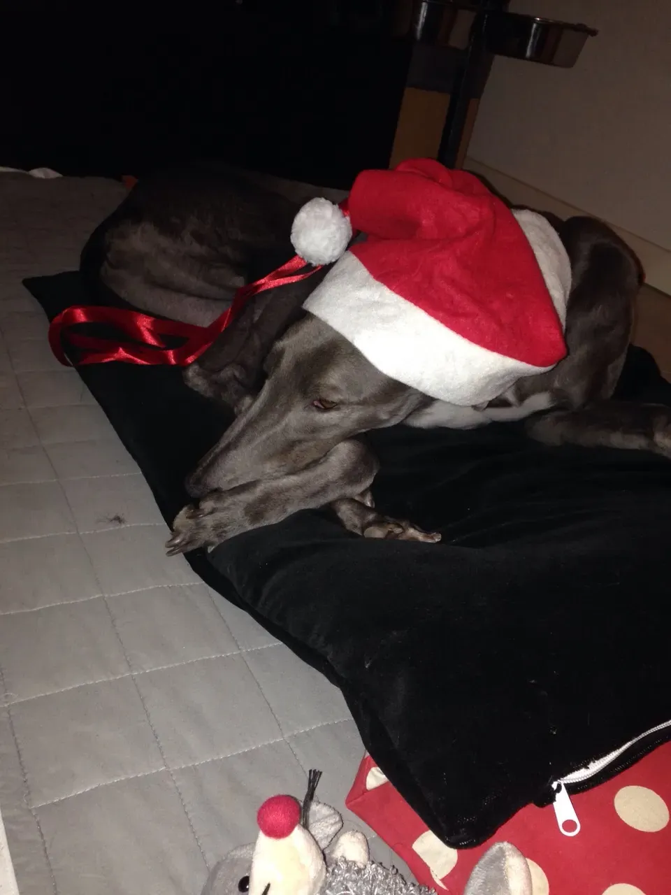 67799275 2403701359713705 4390472697054756864 o