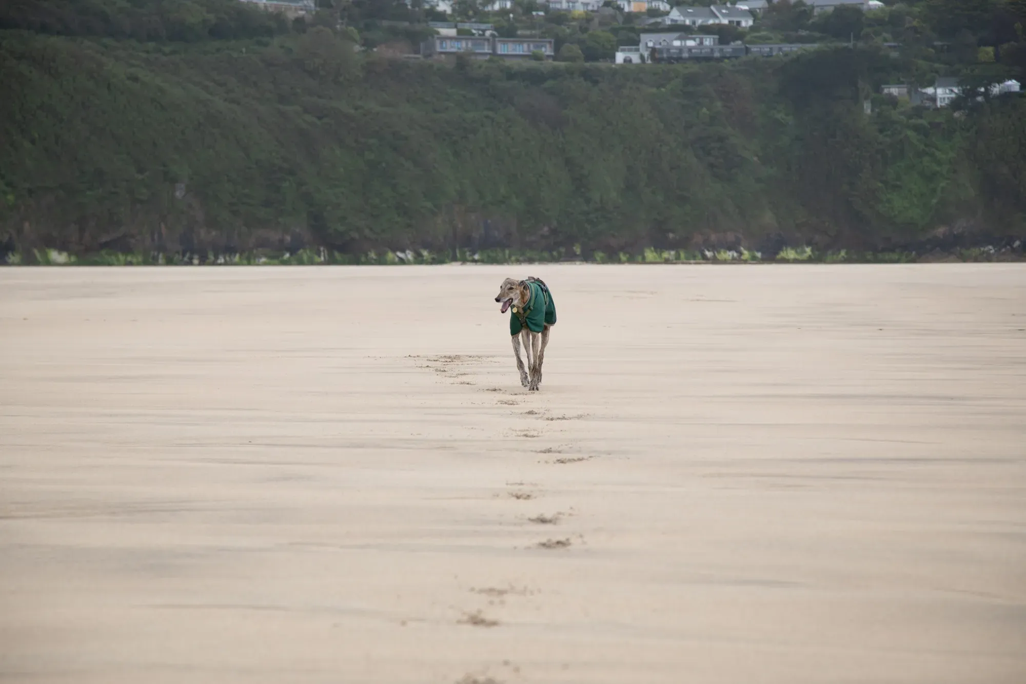 67806781 2203551489742632 8032092308176371712 o