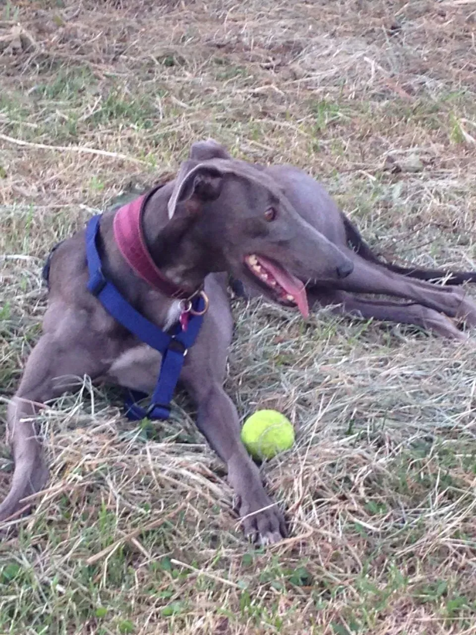 67810922 2403704296380078 5461163556676304896 o