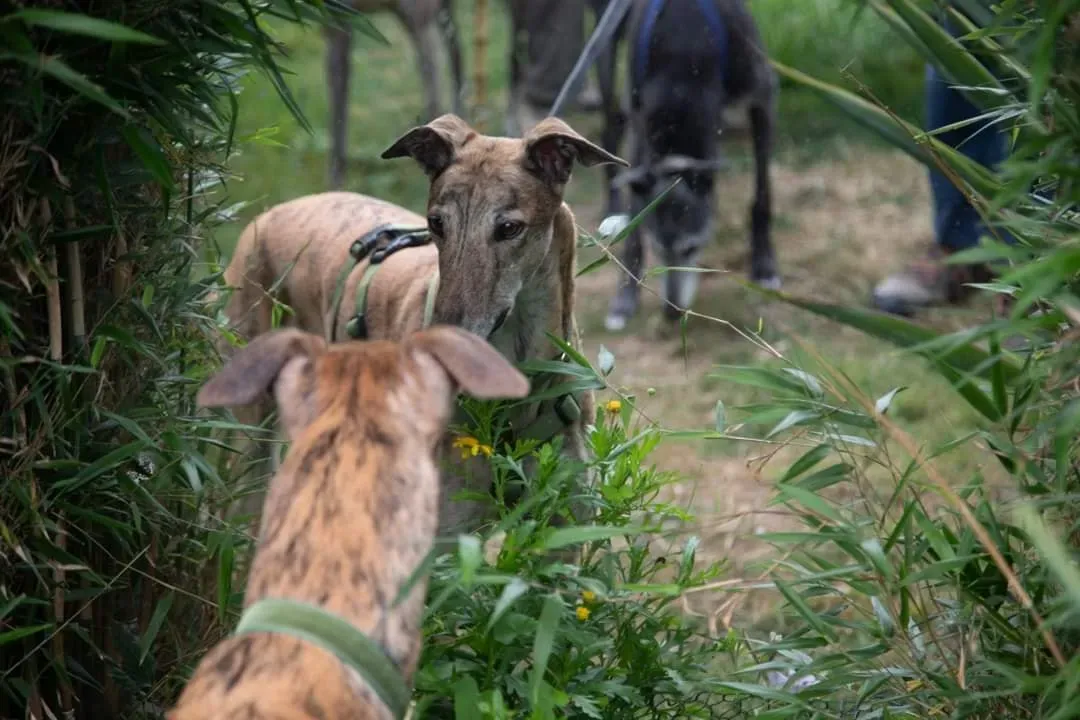 67811539 2212479462183168 333900189339222016 o