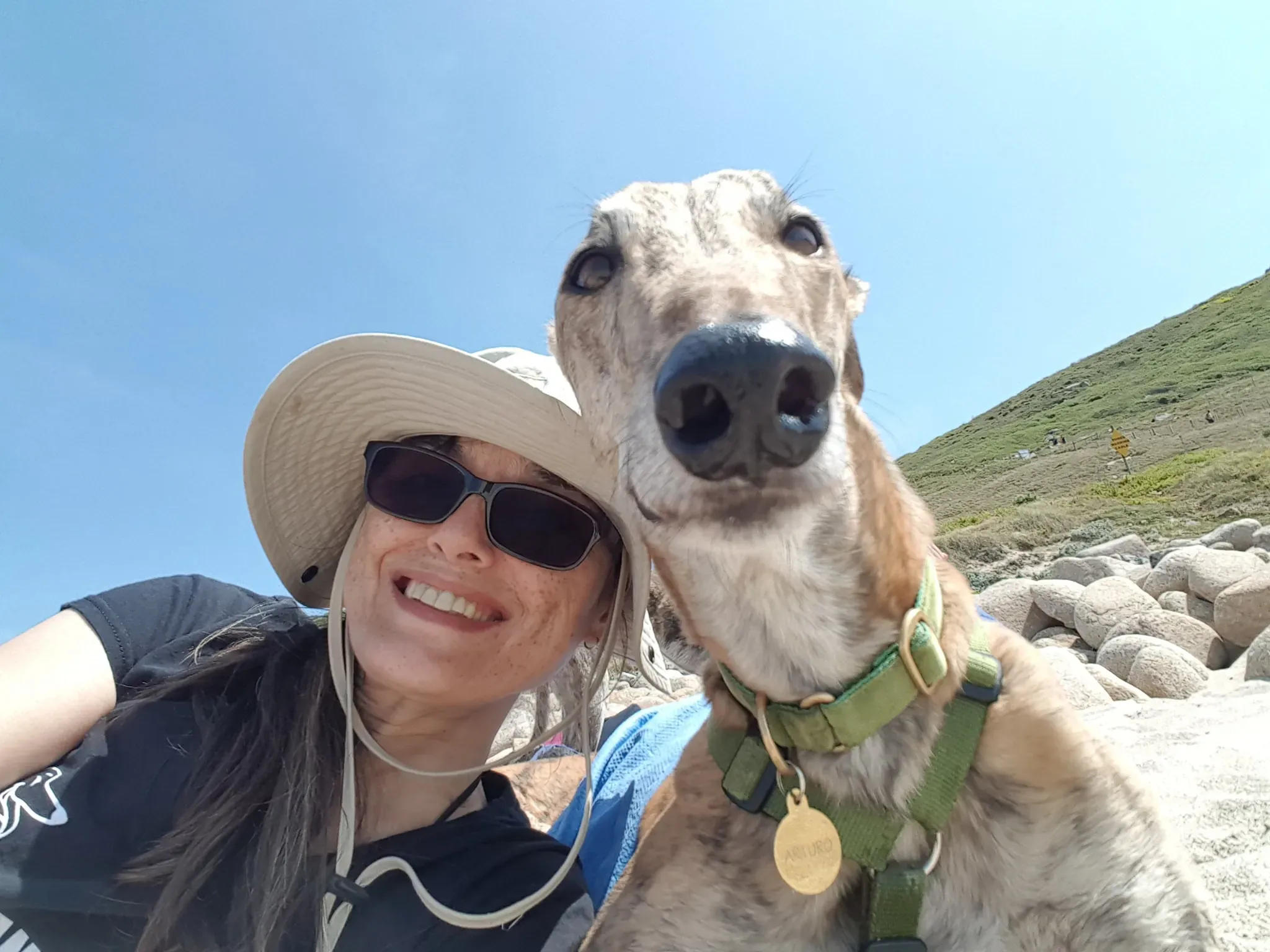 67822353 2213033978794383 6214036100638310400 o