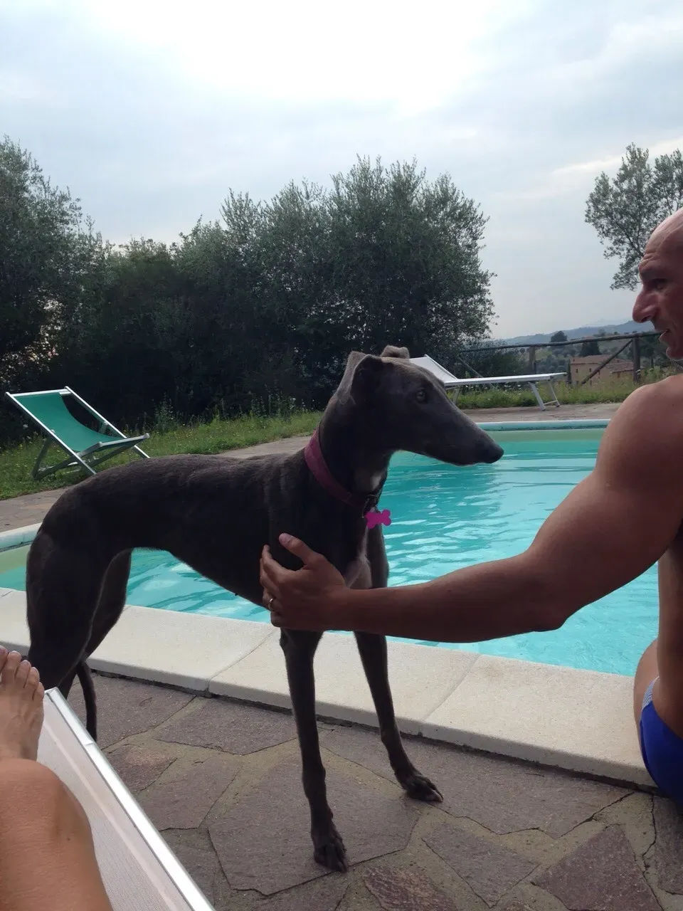 67905861 2403706753046499 4759420180306591744 o