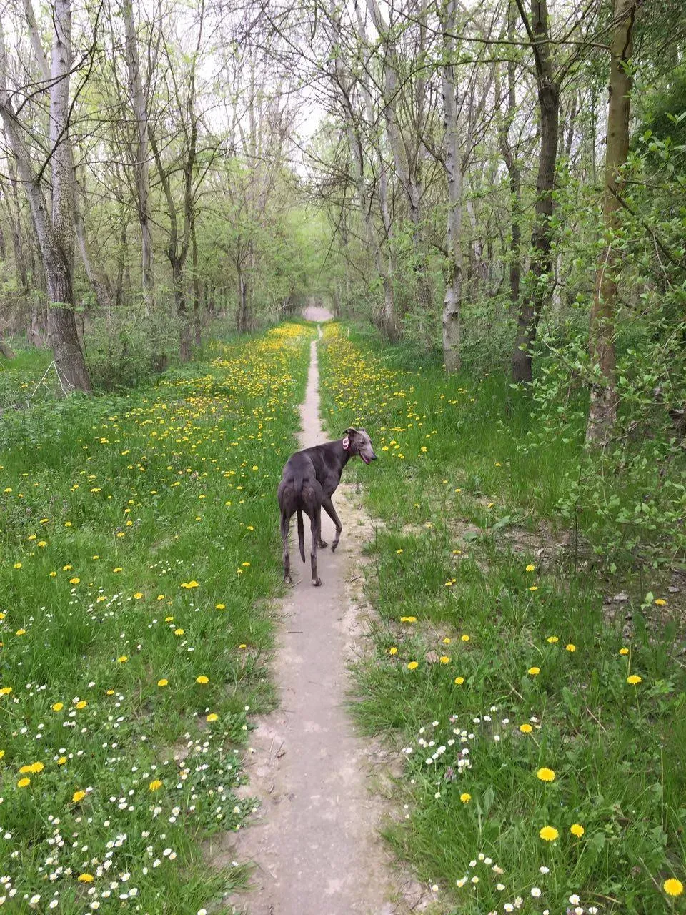 67981222 2403705269713314 131364387951738880 o