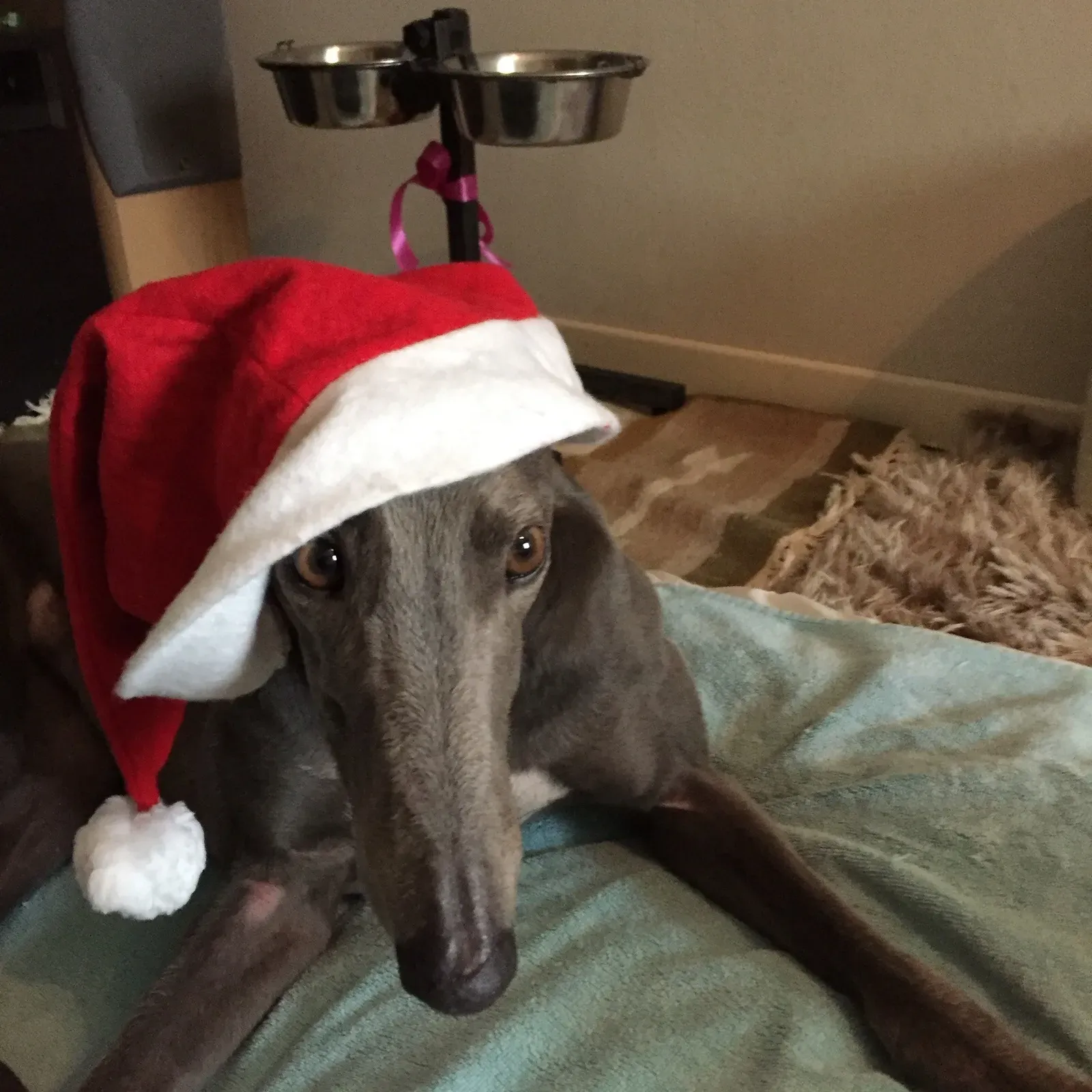 68350734 2403709373046237 3665423445157478400 o