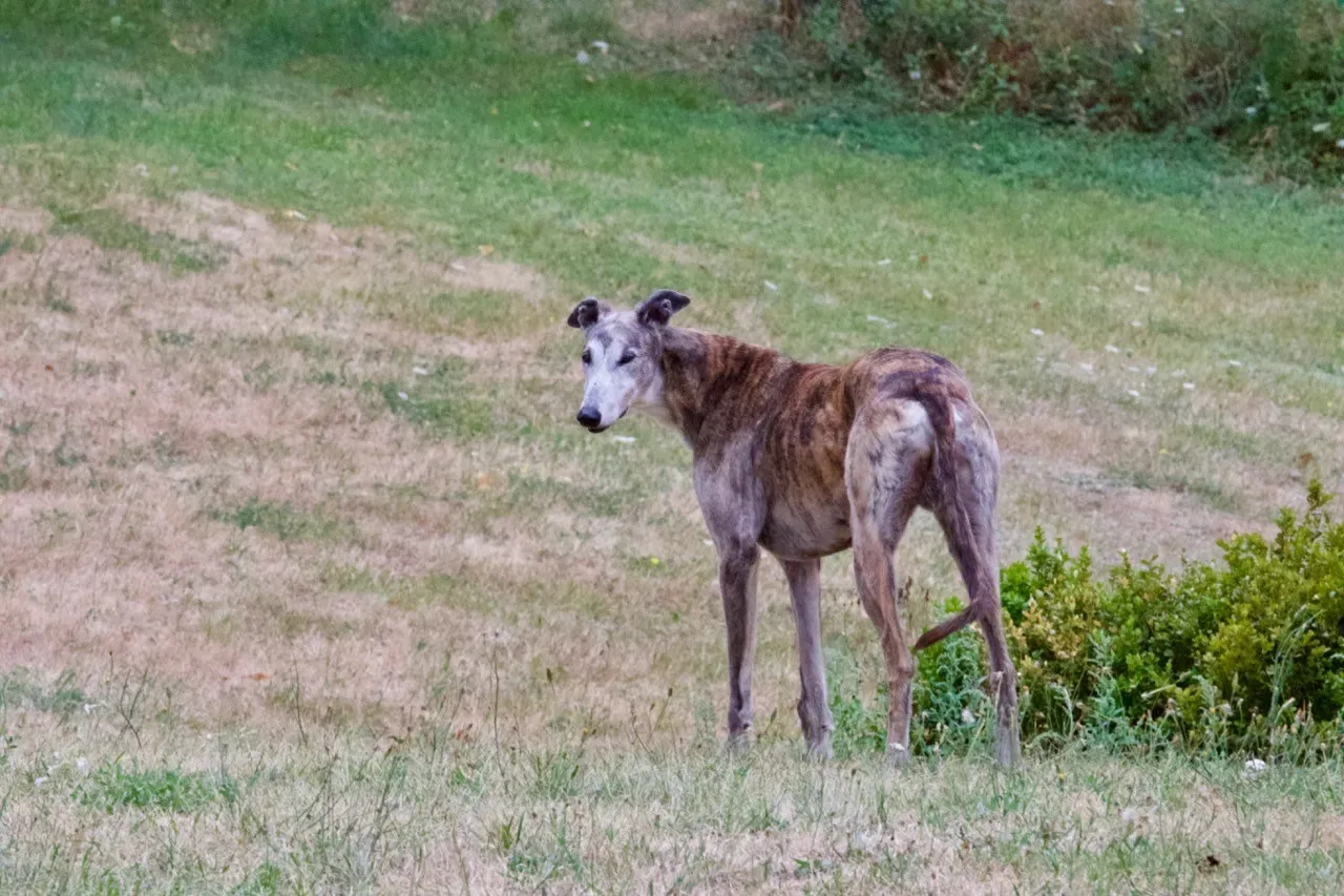 68414792 2457974434294145 4322906663850868736 n