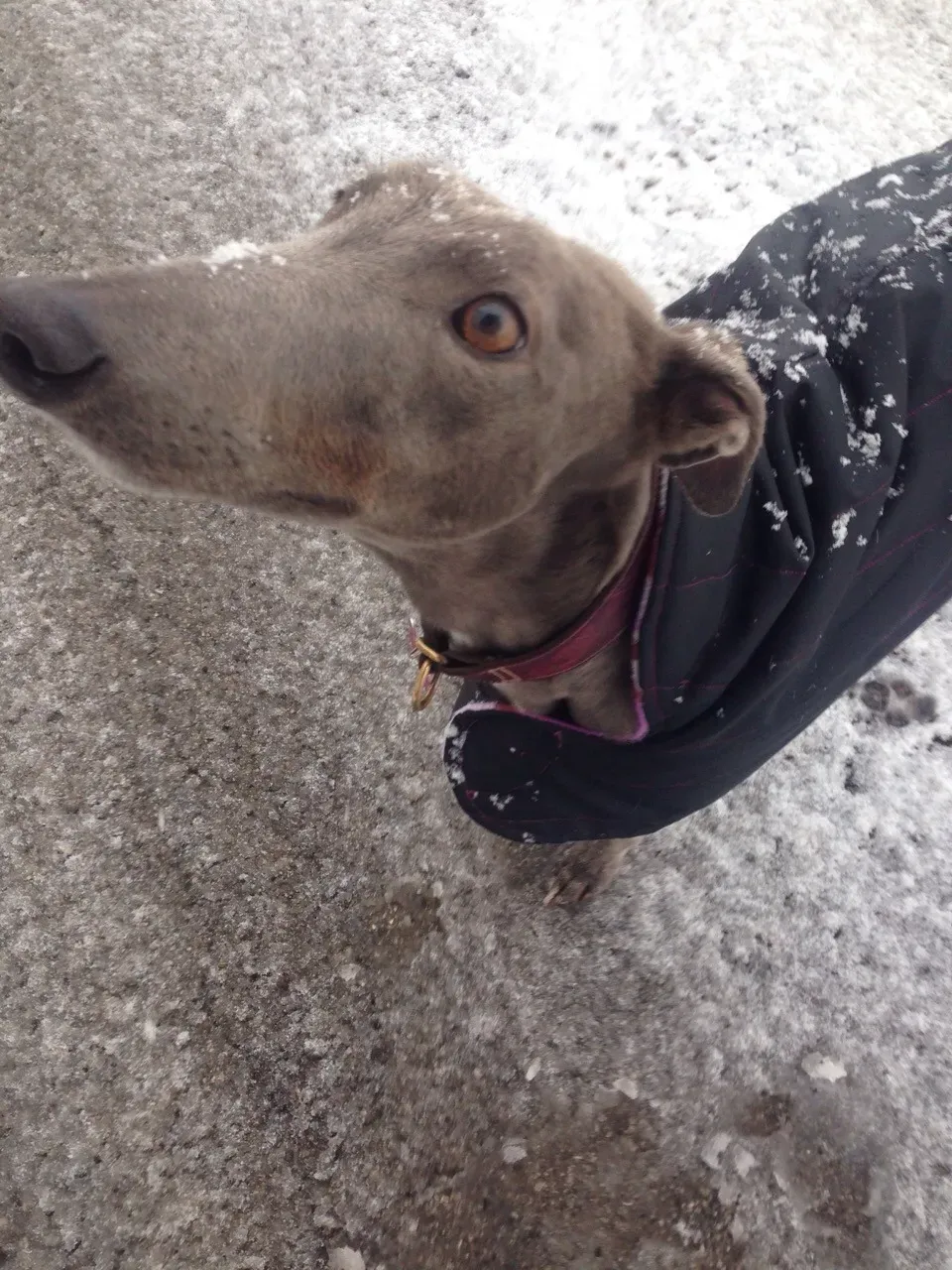 68420181 2403706486379859 7994287443396263936 o