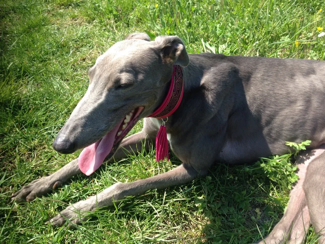 68607573 2403702089713632 8108899435964006400 o