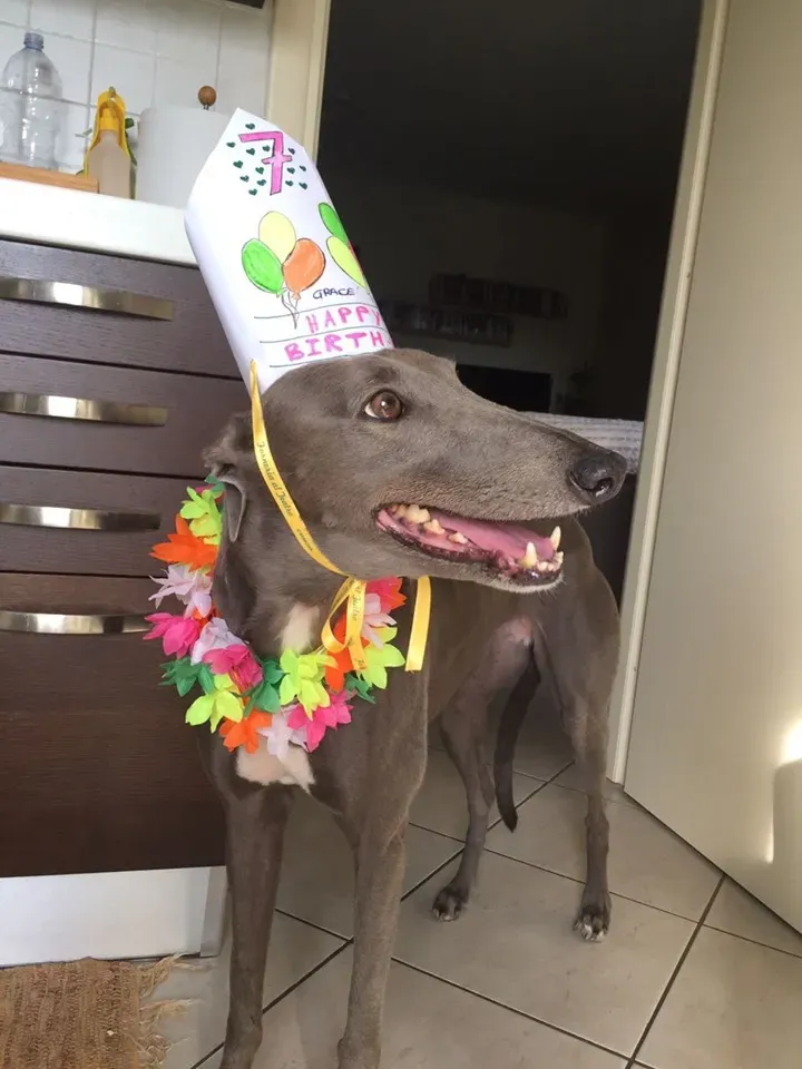 68889359 2403697966380711 843231002238124032 n