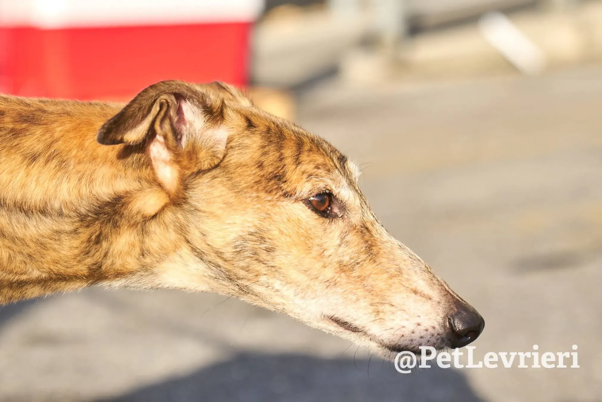 6958F834 1290 490F AA40 BA694AA51580