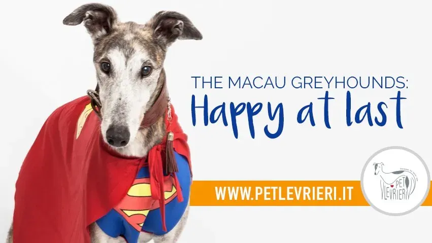 69756693 2463342273749613 8728329772695814144 n