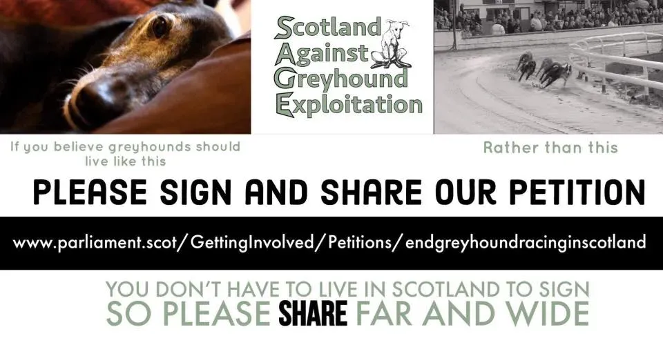 69878433 511072296319744 5175075544571576320 n