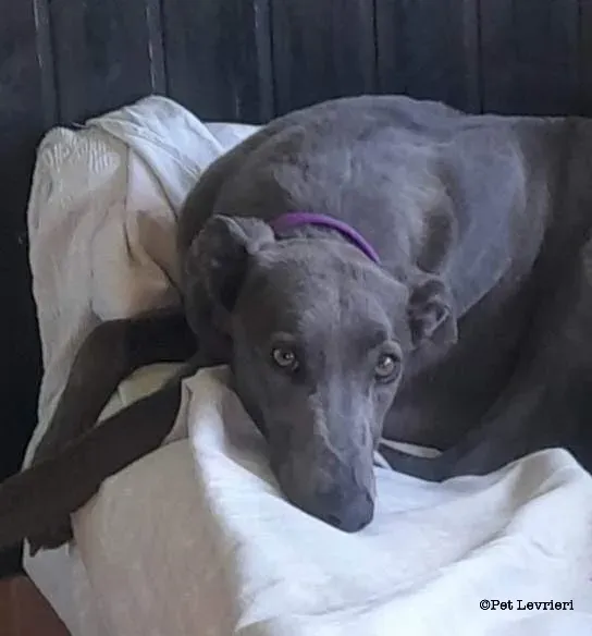 69EA1F43 1926 4DBE B44D BE3870960A65