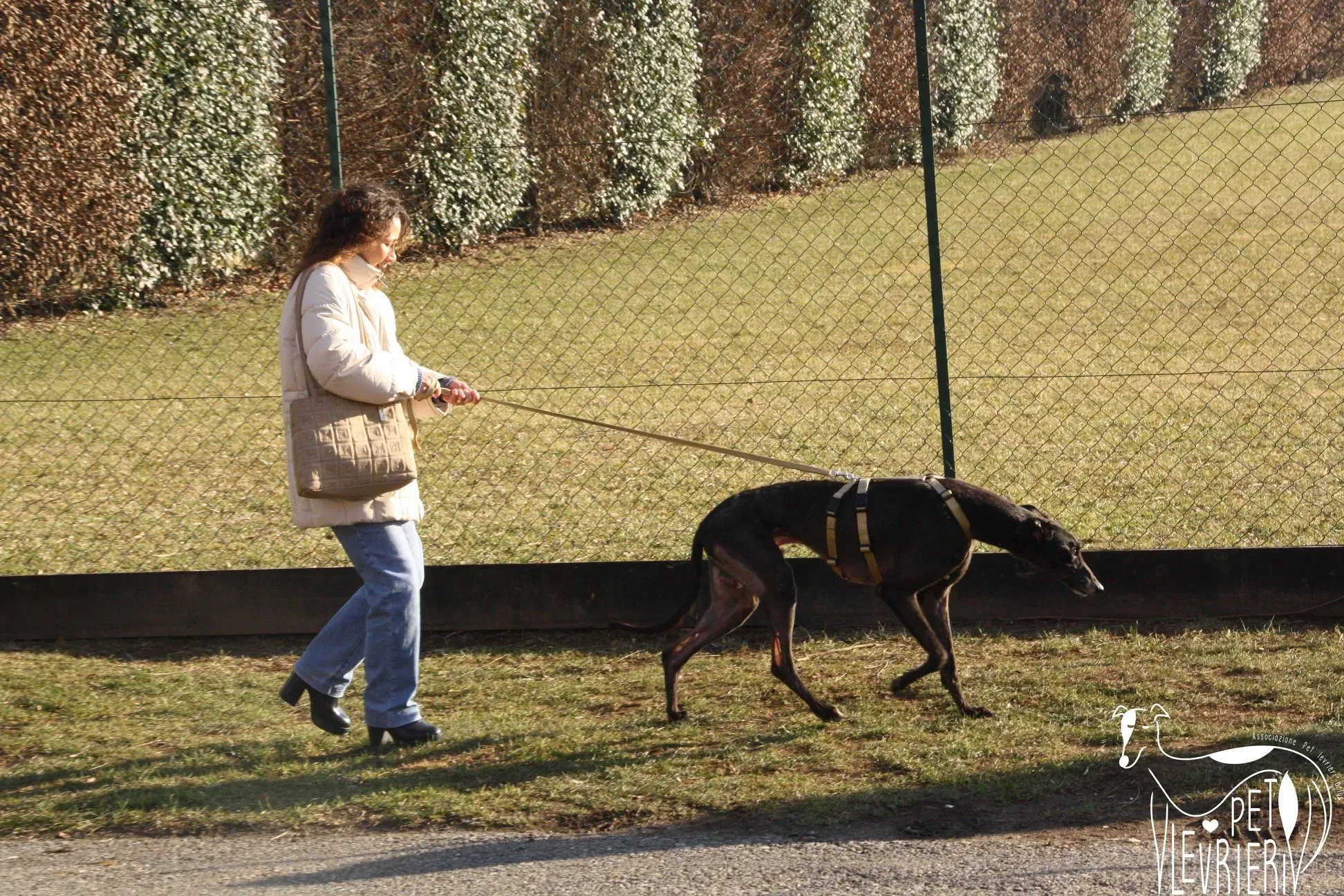 6A183FDB F14D 4230 8955 988189A13CF5