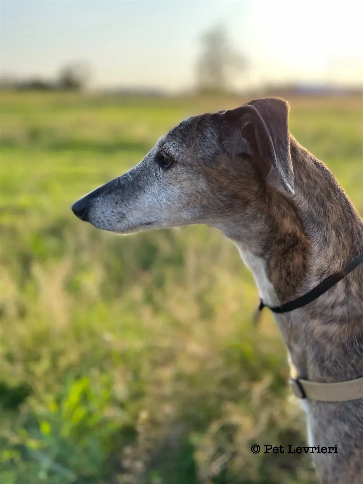 6A2F7C9A 2855 4815 BFDE 33BFE2C6CE5D