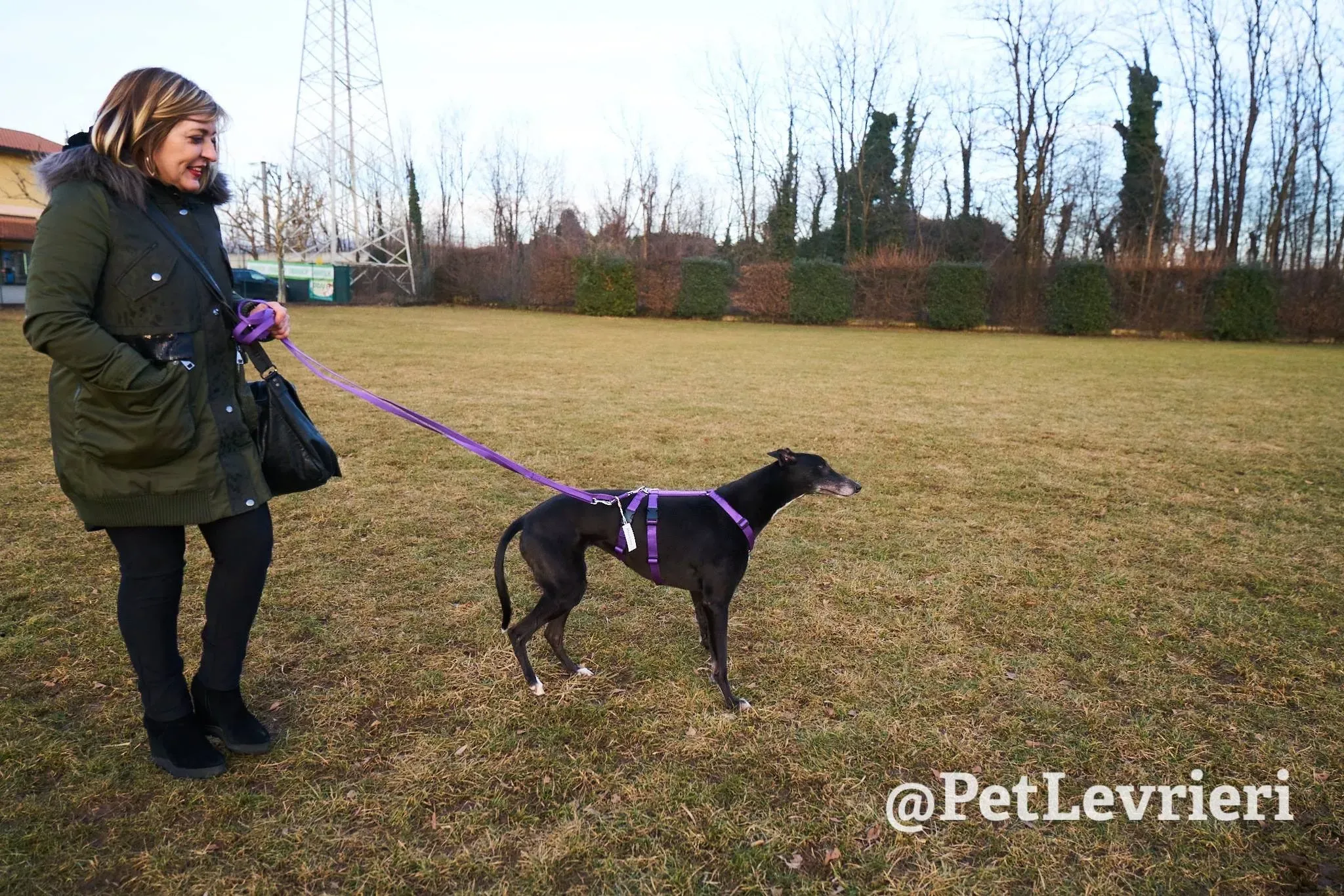 6A9E267A F405 4A69 B770 73D5D313BB6D