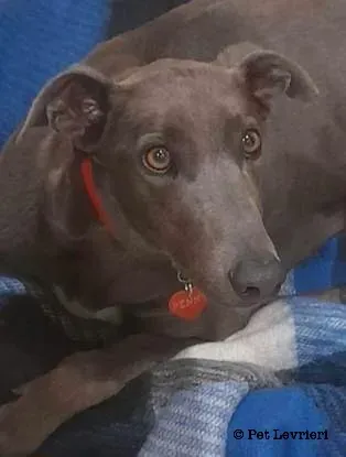 6ADD4AB9 F6E7 4936 8E93 DD340B807E05