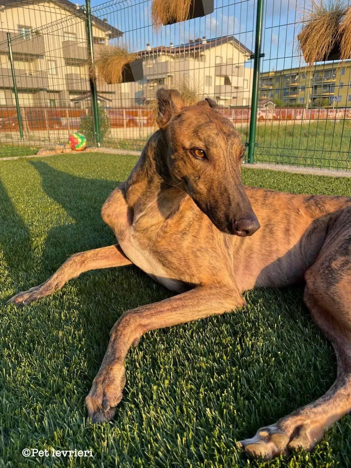 6C17B271 D90F 4821 845A 852EAB77042A