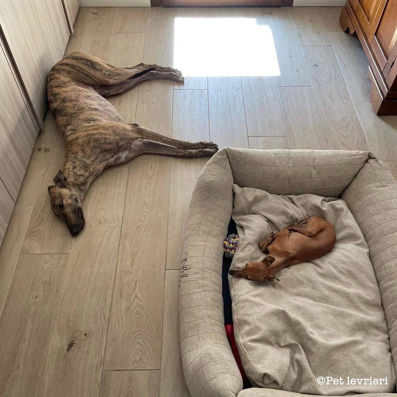 6EDB038C AF21 43A4 8C97 F210BA5280E4