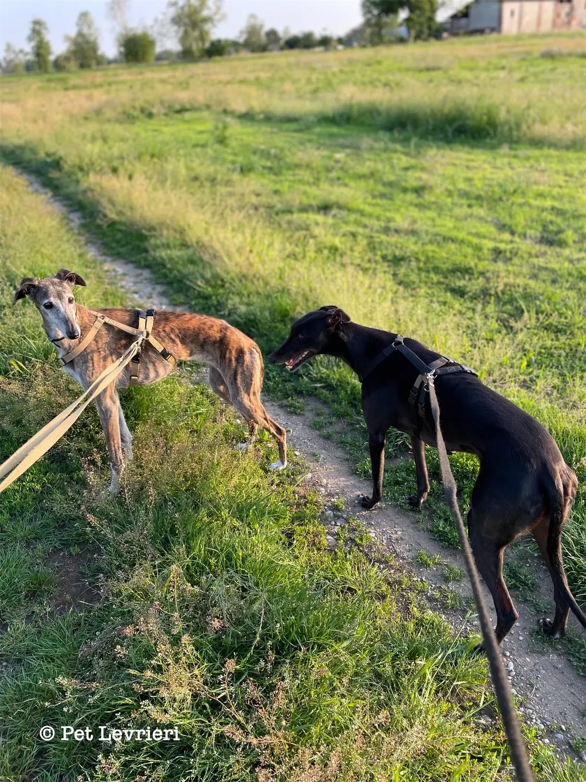 6F15C97E 9558 4D7D 8BFF DBDD4D8C4E51