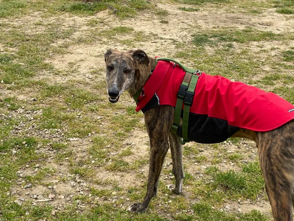 6a044af8 621d 431b 8678 fec9598df293