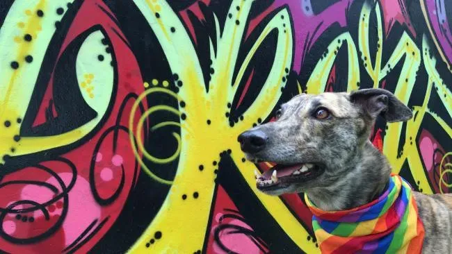 6bffc3608def2026e1b9ab21b51f1f92