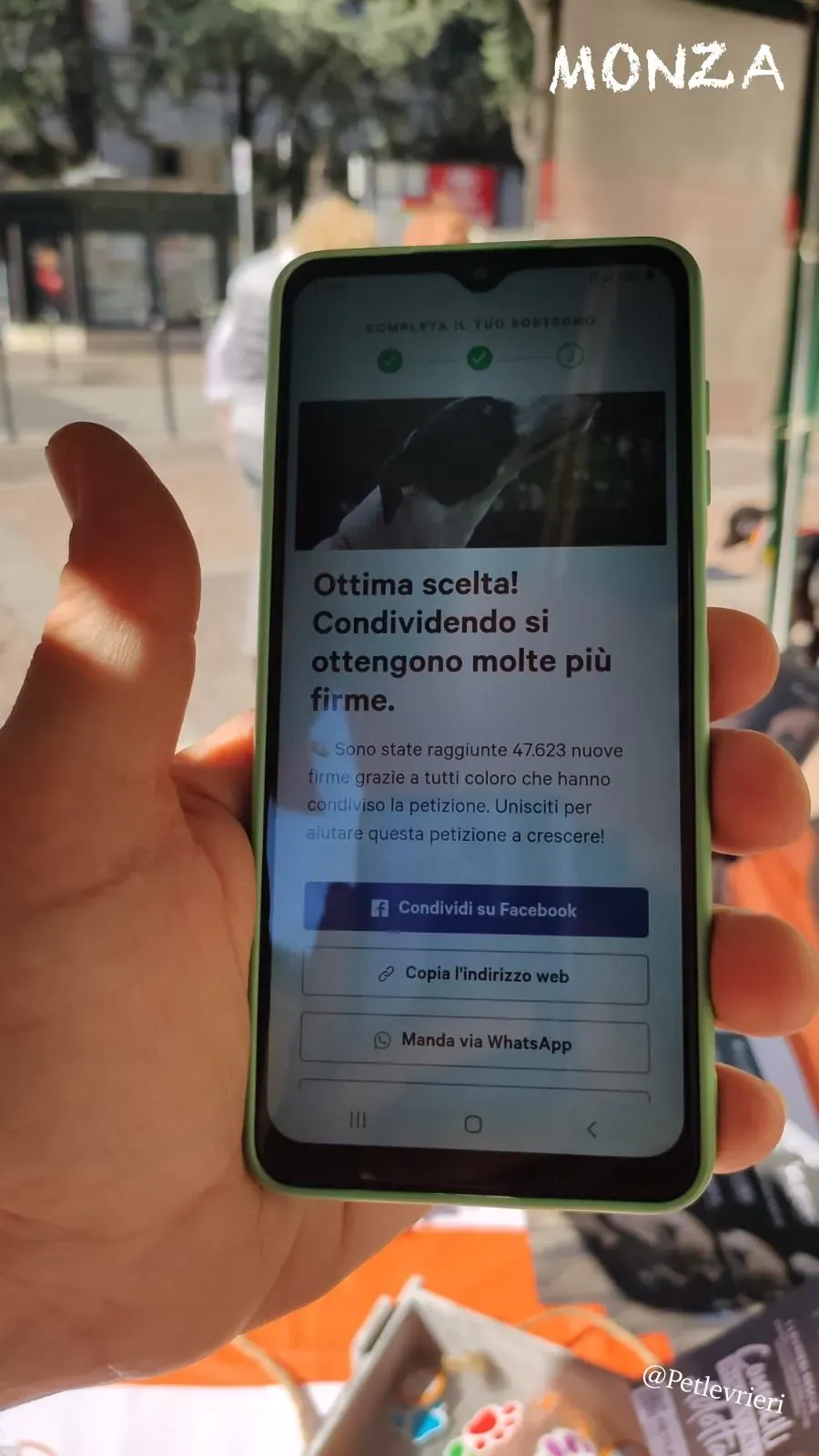 6f47a603 8337 4a07 af4d 2c62de18b8d5 risultato