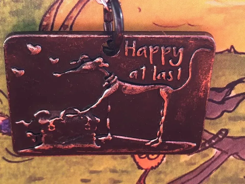 70084044 2466788396738334 1332930924081315840 n