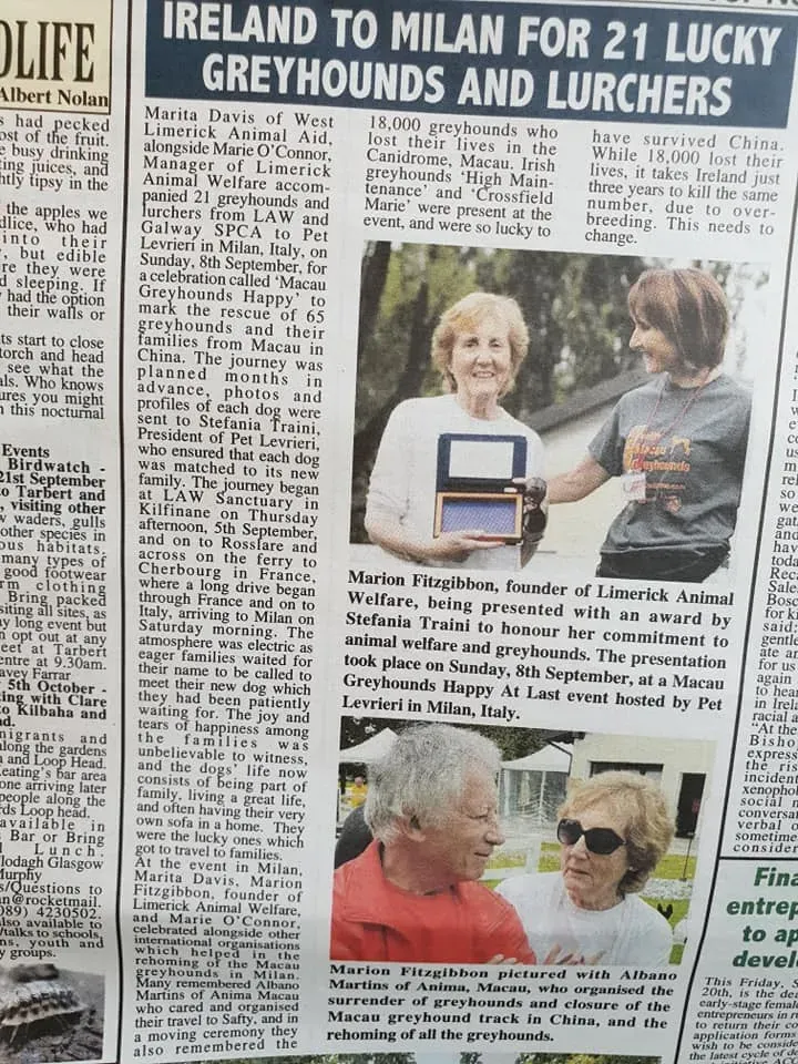 70210105 2251296724996100 6991412493880918016 n