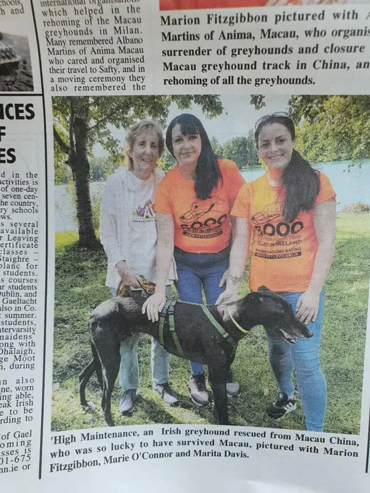 70406335 2251296801662759 1159343992542855168 n