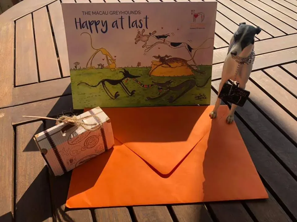 70412729 2466788303405010 4721951366652624896 n