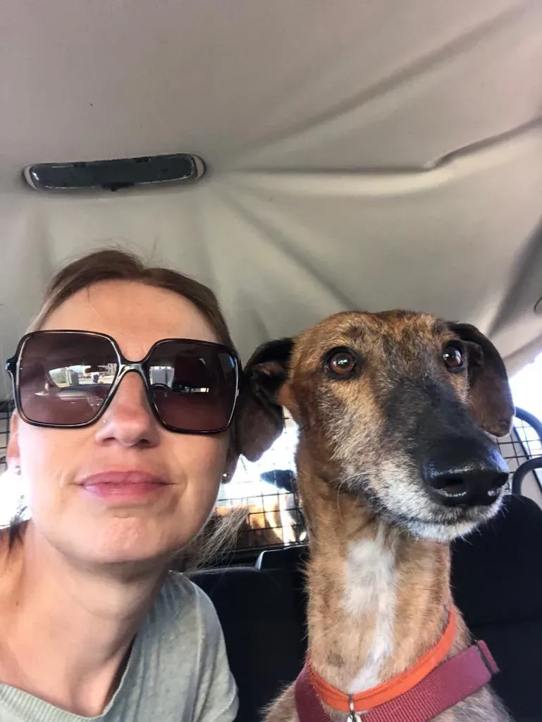 7047c4ab 0d0e 4623 8213 723c6dc10158