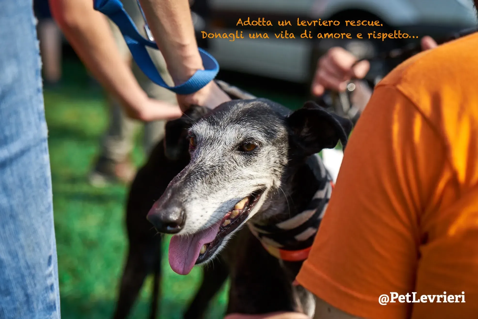 70498460 2475623659188141 8838483438886453248 o