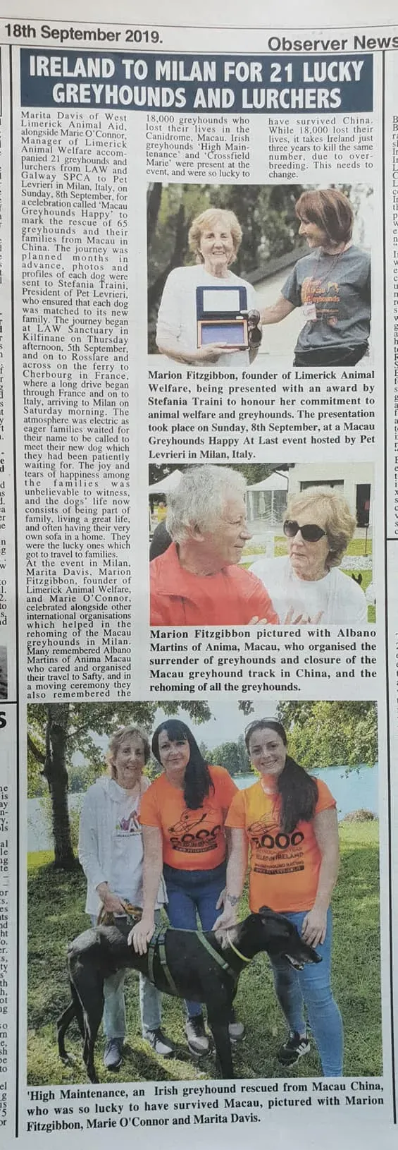 70548393 2251296651662774 6835686140893200384 o