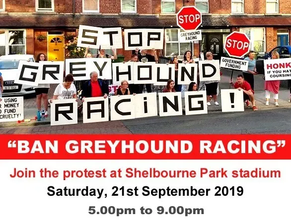 70591936 2417639058351638 2501011318190899200 n