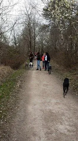 7089 659493437507365 3546970321141448119 n