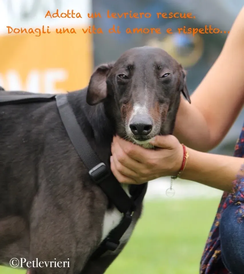 70926862 2466724973411343 2621682100864024576 o 1