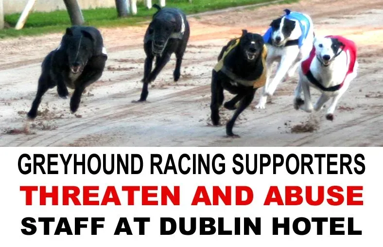 71211261 2441606945954849 7154571751630831616 n