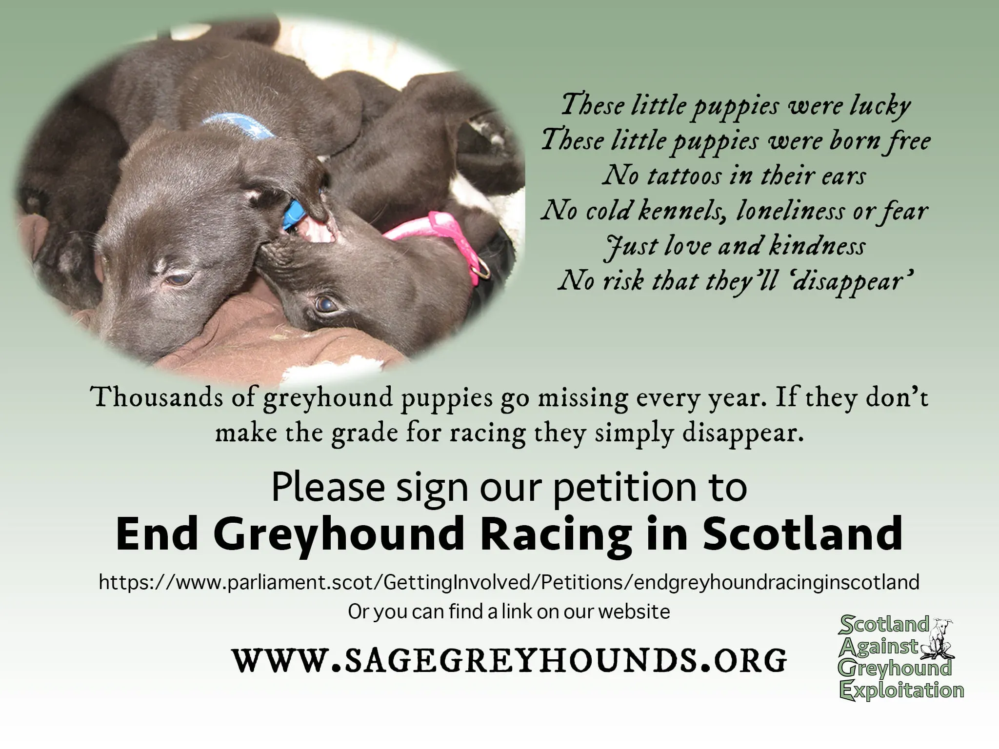 71492192 524800328280274 5863418859200970752 o