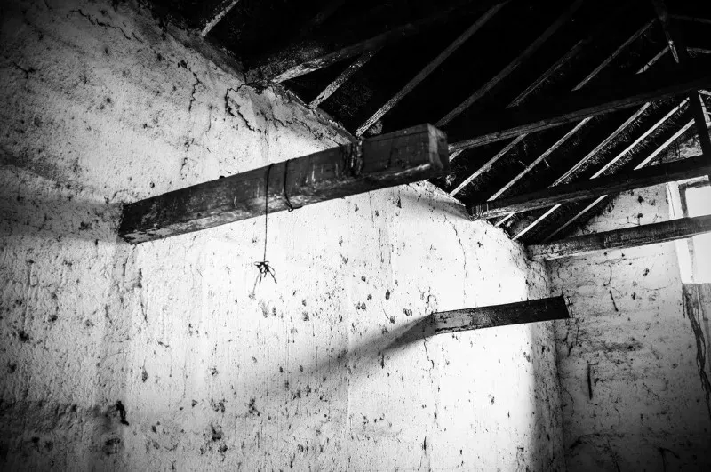 71802674281 Media 03